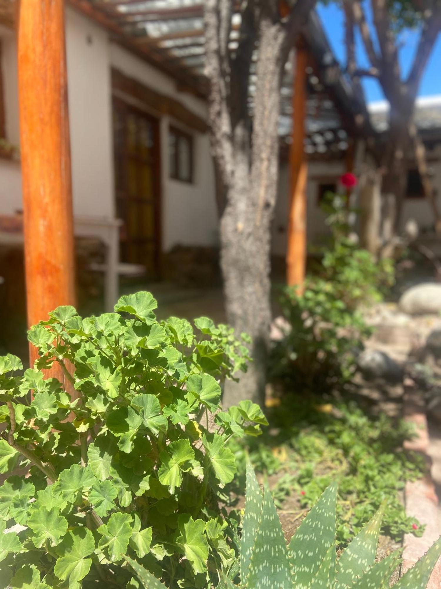 Hostal Tierra Andina Cafayate Exteriör bild